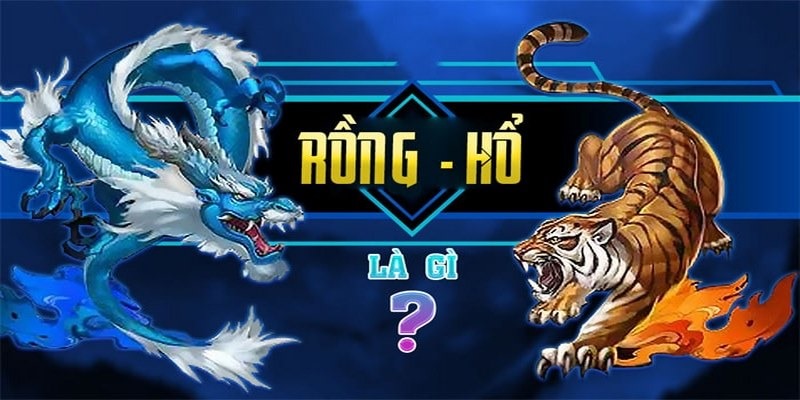 Sơ Lược Về Quy Tắc Cược Rồng Hổ Cơ Bản